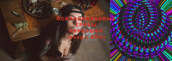 прущий лед Алзамай
