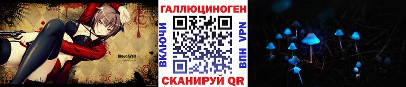МЕГА   Строитель  Псилоцибиновые грибы Psilocybine cubensis 